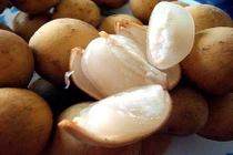 12 công dụng tốt cho sức khỏe của quả bòn bon