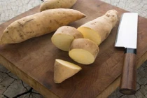 4 bài thuốc hay từ khoai lang trắng không phải ai cũng biết