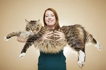 Những kỷ lục Guinness kỳ quặc nhất hành tinh 