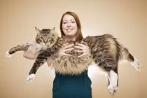 Những kỷ lục Guinness kỳ quặc nhất hành tinh 