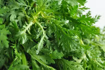 Đừng bỏ qua 6 bài thuốc tự nhiên chữa bệnh hiệu quả này