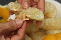 Giảm cân bằng hạt bưởi, 10 người làm, 9 người mê