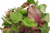 Bài thuốc chữa tiêu chảy cực kỳ đơn giản từ rau dền