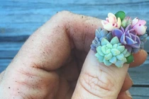 Trào lưu “nail mọng nước” càn quyét Instagram