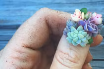 Trào lưu “nail mọng nước” càn quyét Instagram