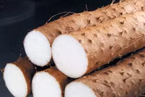 Cách nấu món ăn thuốc từ hoài sơn trị đái tháo đường rất tốt