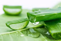 Những món ăn chống nhiễm chất phóng xạ cực tốt