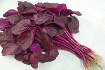 Món ngon từ rau dền đỏ cho mùa hè thanh mát