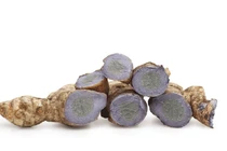 9 bài thuốc quý từ nghệ đen trị đầy bụng, khó tiêu