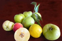 3 loại quả là thần dược miền núi chữa bệnh nhạy hơn thuốc