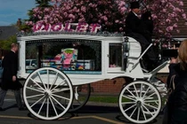 Bé gái can đảm và đám tang màu hồng làm ai cũng rơi lệ