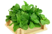 Chữa bệnh hiệu quả bằng những loại thảo mộc