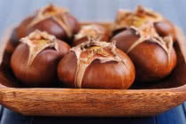 Bài thuốc chữa bệnh từ hạt dẻ siêu hiệu nghiệm 