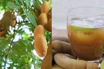 Bài thuốc chữa bệnh gan hữu hiệu từ các loại quả