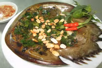 3 món ngon từ sam biển không ăn thì phí cả đời