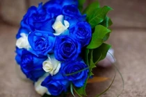 Nàng sẽ sướng rên cả ngày nếu được tặng quà này dịp 8/3