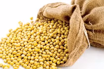 Các loại hạt đậu chữa bệnh kỳ diệu bạn nên biết