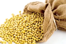 Các loại hạt đậu chữa bệnh kỳ diệu bạn nên biết