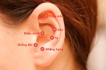 Giảm cân thần tốc với các huyệt khắp cơ thể