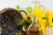 Bài thuốc cải thiện lưu thông máu bằng hạt hướng dương Nga