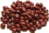 Bài thuốc chữa viêm gan, vàng da bằng hạt xích tiểu đậu