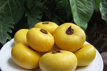 Bài thuốc từ cây thị chữa các bệnh tiêu hóa cực nhạy 