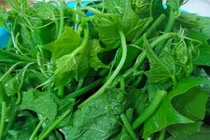 Món ngon khó cưỡng từ ngọn các loại rau trong vườn