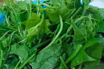 Món ngon khó cưỡng từ ngọn các loại rau trong vườn