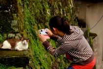 Tới ngôi làng của những chú mèo đáng yêu ở Đài Loan