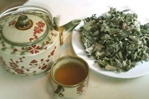 Các bài thuốc trà dược hỗ trợ điều trị gan nhiễm mỡ 