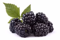 Da sẽ trắng sáng không tì vết với cách làm đẹp từ củ quả màu đen