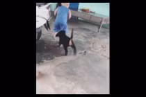 Video: Cậu bé giành bát với chó cưng khiến dân mạng phì cười