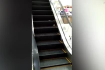 Chuột khổng lồ tấn công khách đi thang máy trong siêu thị