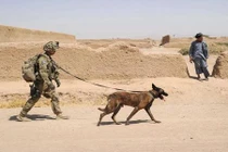 Thiếu chó nghiệp vụ, Quân đội Mỹ tính "nuôi" cả chó robot