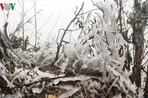 Mùa Đông 2018 đến sớm, rét đậm, rét hại sẽ nhiều hơn ​