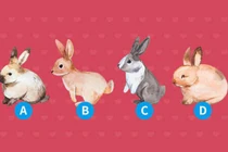 Chọn ngay con thỏ bạn yêu nhất để biết kiểu tình yêu mà bạn ao ước bấy lâu