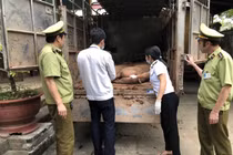 Đáng sợ: Thịt lợn Trung Quốc ồ ạt tuồn về Việt Nam	