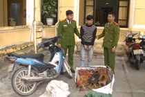 Bị truy nã gắt gao vẫn tranh thủ thực hiện 150 vụ trộm...gà