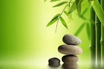 Ngộ ra nhiều điều từ những câu chuyện thâm thúy về cuộc đời