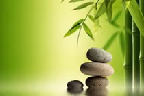 Ngộ ra nhiều điều từ những câu chuyện thâm thúy về cuộc đời