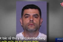 Video: Bác sỹ thú y tàn độc mổ bụng chó, nhét heroin vào để buôn lậu