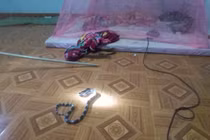 Hoảng hồn rắn cực độc bò vào giường ngủ nhà dân giữa đêm