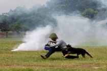 Một ngày với những "chiến khuyển" đặc biệt của Bộ đôi Biên phòng