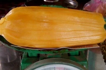 “Thiên hạ đệ nhất” mít mỗi múi nặng 2 lạng, cả quả nặng hơn 40 kg