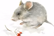 4 con giáp gặp họa phá tài, tiền bạc ra đi không kiểm soát