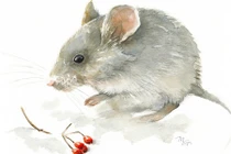 4 con giáp gặp họa phá tài, tiền bạc ra đi không kiểm soát