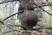 Thời gian “nuốt chửng” quá khứ chiến tranh như thế nào?