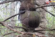 Thời gian “nuốt chửng” quá khứ chiến tranh như thế nào?