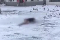 Thiếu niên đông cứng như băng sau một đêm uống rượu không về