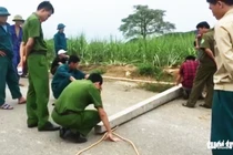 Viettel lên tiếng về vụ điện giật chết 4 người	